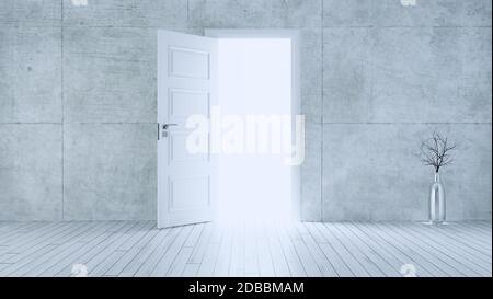 Luce che entra dalla porta aperta in legno bianco alla stanza vuota con parete in cemento e pavimento in parquet bianco rendering 3D realistico Foto Stock