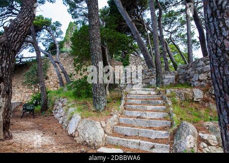 Bellissimi sentieri del Parco Gradac in Dubrovnik Foto Stock