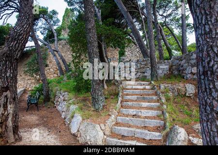 Bellissimi sentieri del Parco Gradac in Dubrovnik Foto Stock