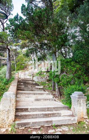 Bellissimi sentieri del Parco Gradac in Dubrovnik Foto Stock
