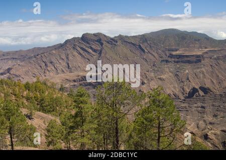 Riserva naturale integrale di Inagua, Mesa del Junquillo, Mesa de Acusa e Parco Naturale di Tamadaba. Gran Canaria. Isole Canarie. Spagna. Foto Stock