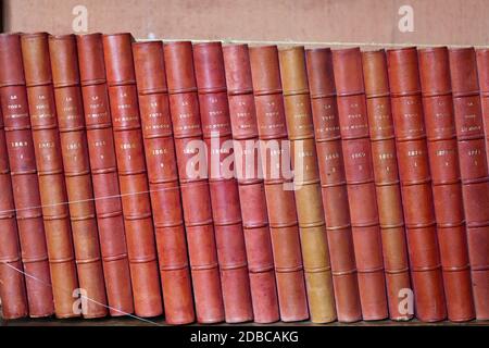 Vintage di libri in diverse sfumature di rosso e marrone in libreria Foto Stock