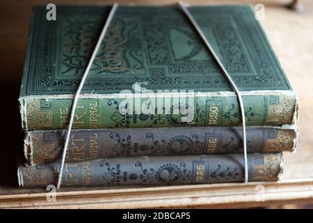 Vintage di libri in diverse sfumature di verde in libreria Foto Stock