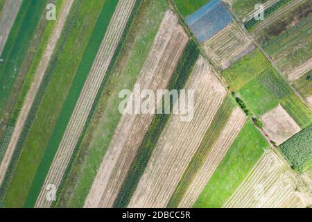 Vista aerea e a droni di prati e pascoli lussureggianti e senza fine con campi verdi e prati. Foto Stock