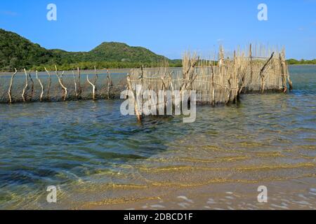 Tradizionale pesce Tsonga trappola costruita nel Kosi bay estuary, Tongaland, Sud Africa Foto Stock