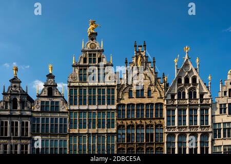 Antwerp fila di vecchie case 16 ° secolo facciate Monumentali Guildhouses su piazza Grote Markt. Anversa, Belgio, Fiandre Foto Stock