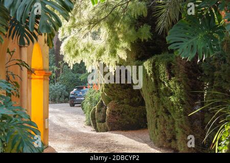 Soleggiato tardo pomeriggio in un palazzo mediterraneo. Pareti color ocra brillante, archi graziosi, siepi verdeggianti. Foto Stock