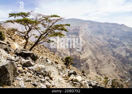 Le formazioni rocciose del Wadi Ghul aka Grand Canyon di Arabia nel Jebel Shams, Oman Foto Stock