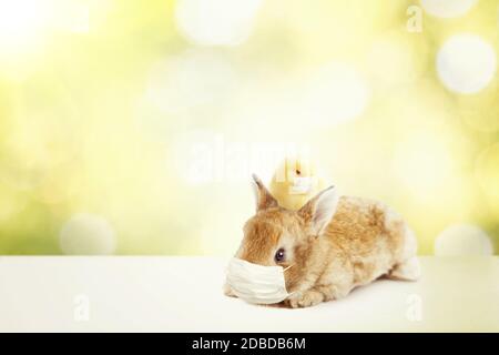 Composizione pasquale con tema Coronavirus. Quarantena pasquale Foto Stock