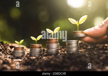 I giovani pianta stanno crescendo sulle monete, pensando alla crescita finanziaria. Foto Stock