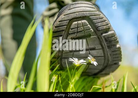 il piede di un uomo scala su un fiore in fiore nella foresta. L'umanità e l'ambiente. Foto Stock