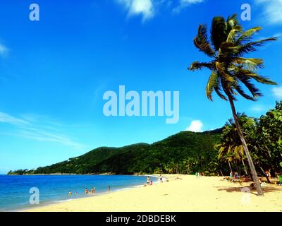 Spiaggia Grande-Anse vicino a Deshaies, Guadalupa Foto Stock