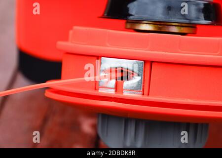 Testa con lenza da pesca per la falciatura dell'erba. Trimmer a gas. Gascosi trimerica con una foglia per la falciatura di erba e arbusti. Foto Stock