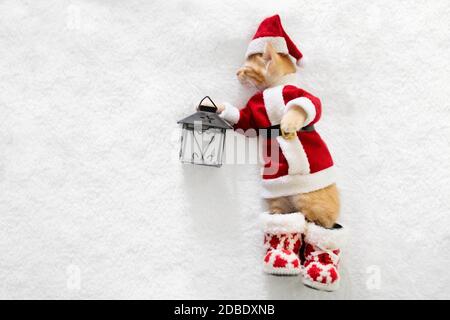 Baby gatto in costume di Natale e cappello di Santa. Ginger cucciolo neonato che dorme sotto coperta di lana. Accogliente giornata invernale natalizia con animali domestici a casa. Ora di protezione accesso alla rete. Foto Stock