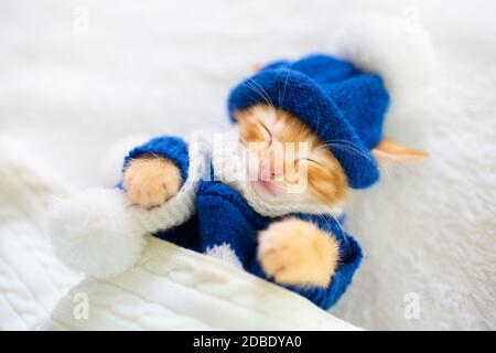 Baby Cat in maglia maglione e cappello. Ginger cucciolo neonato che dorme sotto coperta di lana. Un'accogliente giornata invernale con animali domestici a casa. Ora di protezione accesso alla rete. Foto Stock