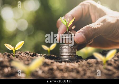 Le monete sono accatastate sul terreno e le piantine stanno crescendo in cima, il concetto di risparmio di denaro e di crescita finanziaria. Foto Stock