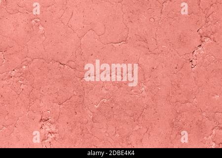 Corallo rosa a basso contrasto con fondo testurizzato in cemento Foto Stock