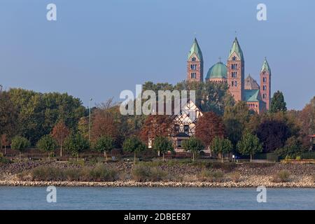 Geografia / viaggio, Germania, Renania-Palatinato, Speyer, minster a Speyer con Reno, Metropolitan , Additional-Rights-Clearance-Info-Not-Available Foto Stock