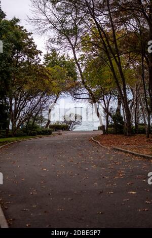 Un vicolo vuoto autunnale nel parco. Autunno colori stagione umore. Foglie di arancio sul terreno Foto Stock