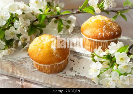 Mini muffin con fiori di ciliegia in primo piano. Concetto di primavera Foto Stock