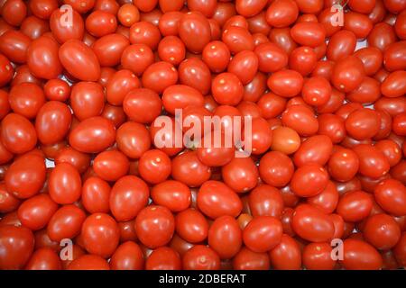 Pomodori sul mercato di frutta e verdura Naschmarkt di Vienna - Austria. Foto Stock