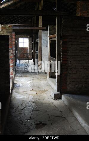 Interno di caserme nel campo di concentramento di Auschwitz Foto Stock