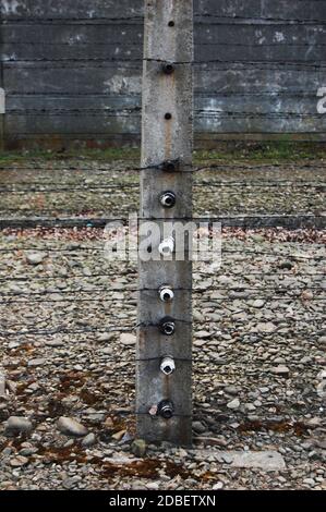 Recinzione elettrica di confine nel campo di concentramento di Auschwitz Foto Stock