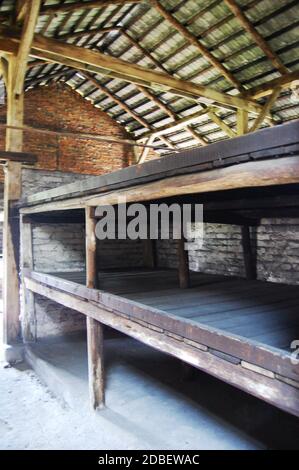 Interno di caserme nel campo di concentramento di Auschwitz Foto Stock