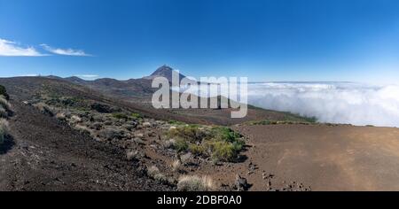 Parco nazionale Parque National del Teide sull'isola di Tenerife, Spagna Foto Stock