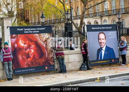 Londra, Regno Unito. 17 Nov 2020. (Warning graphic images) una protesta contro l'aborto del Centre for bio-Ethical Reform, UK, di fronte a Downing Street, Londra UK Credit: Ian Davidson/Alamy Live News Foto Stock