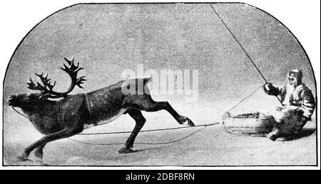 Consegna della posta delle renne in Norvegia. Illustrazione del 19 ° secolo. Sfondo bianco. Foto Stock