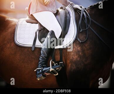 Su un cavallo di sport della baia in una sella di cuoio siede un cavaliere in stivali neri con le punte, tenendo le redini dalla briglia. Equitazione. Centro equestre Foto Stock