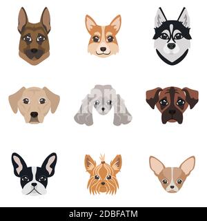 Raccolta di facce di cane. Set di razze diverse. Illustrazione Vettoriale