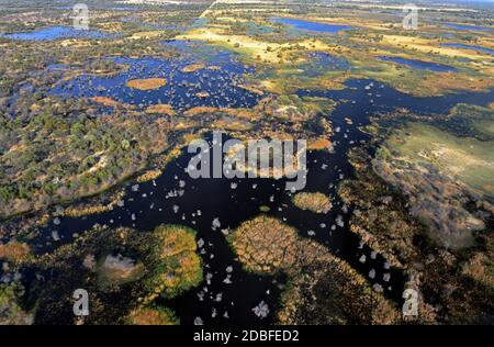 Okavango Delta , Botwana, Africa Foto Stock