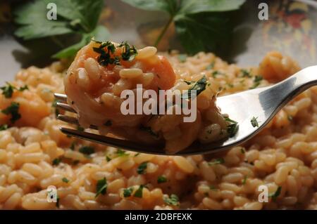 Risotto di pesce con gamberi sulla forchetta Foto Stock