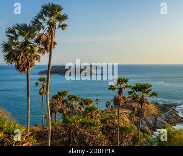 Thailandia spiaggia tempo di tramonto, palme verdi Foto Stock