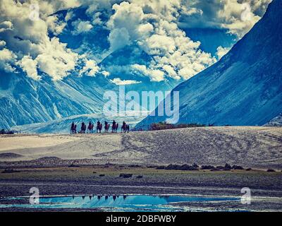 Vintage effetto retrò filtrato immagine di stile hipster di turisti a cavallo cammelli nella valle di Nubra in Himalaya, Ladakh Foto Stock