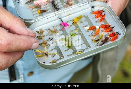 Tenendo una scatola di mosche da pesca o di esche usate per la pesca a mosca, colpo vicino Foto Stock