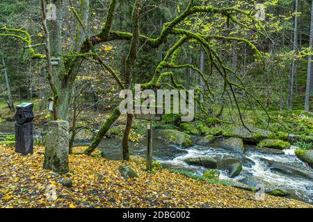 Attività ricreative all'aperto nei pressi di Falkenberg, Baviera, Germania Foto Stock