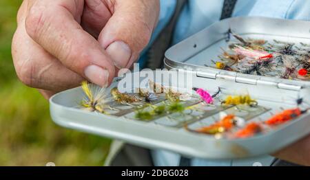 Tenendo una scatola di mosche da pesca o di esche usate per la pesca a mosca, colpo vicino Foto Stock