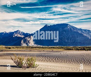 Immagine in stile hipster filtrata effetto retrò vintage di dune di sabbia nella valle di Nubra in Himalaya. Hunder, valle di Nubra, Ladakh Foto Stock