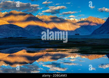 Himalaya al tramonto con caravan di cammello. Hunber, valle di Nubra, Ladakh, India Foto Stock