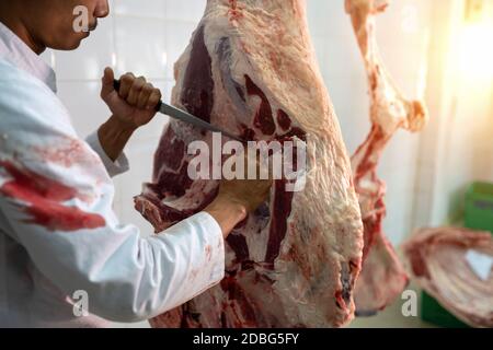 Macellaio che taglia carni bovine di wagyu nel macello. Foto Stock