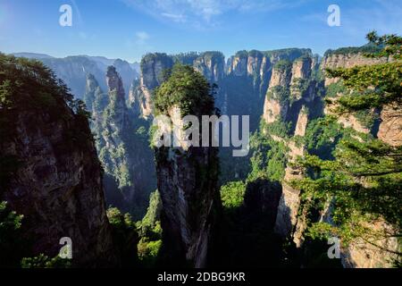 Famosa attrazione turistica della Cina - Avatar Hallelujah montagna in Zhangjiajie colonne di pietra montagne scogliere al tramonto a Wulingyuan, Hunan, Cina Foto Stock