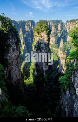 Famosa attrazione turistica della Cina - Avatar Hallelujah montagna in Zhangjiajie colonne di pietra montagne scogliere al tramonto a Wulingyuan, Hunan, Cina Foto Stock