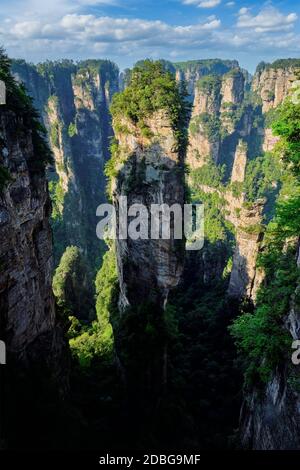 Famosa attrazione turistica della Cina - Avatar Hallelujah montagna in Zhangjiajie colonne di pietra montagne scogliere al tramonto a Wulingyuan, Hunan, Cina Foto Stock