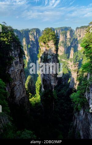 Famosa attrazione turistica della Cina - Avatar Hallelujah montagna in Zhangjiajie colonne di pietra montagne scogliere al tramonto a Wulingyuan, Hunan, Cina Foto Stock