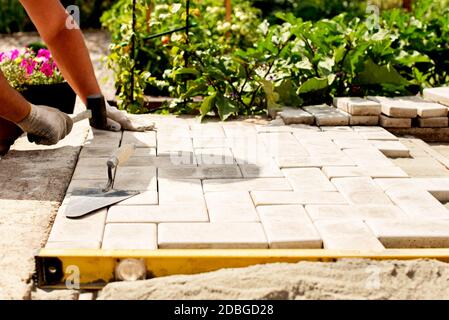 Il padrone stende le pietre di pavimentazione in strati. Pavimentazione del percorso del mattone del giardino da operaio professionale dell'asfaltatrice. Posa di lastre di calcestruzzo grigio in cortyar casa Foto Stock