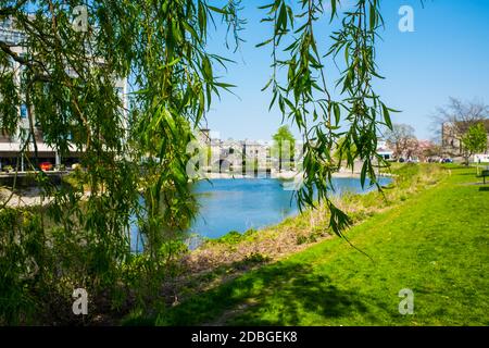 Stramongate ponte e weir da Goosholme, Kendal UK Foto Stock