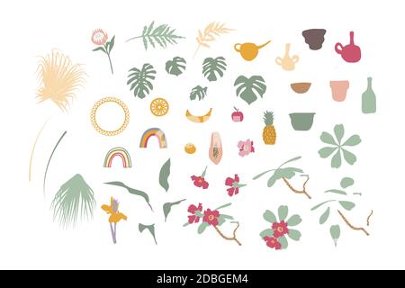 Set di piante tropicali boho casa e oggetti arredamento casa. Illustrazione vettoriale piatta. Illustrazione Vettoriale
